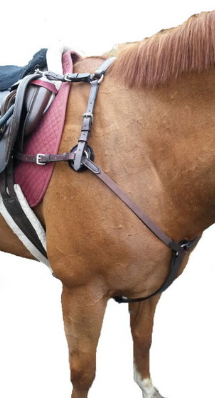 Pro Trainer Gold Breast Strap